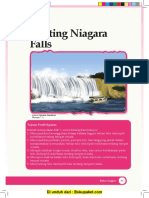 Chapter 7 Visiting Niagara Falls.pdf