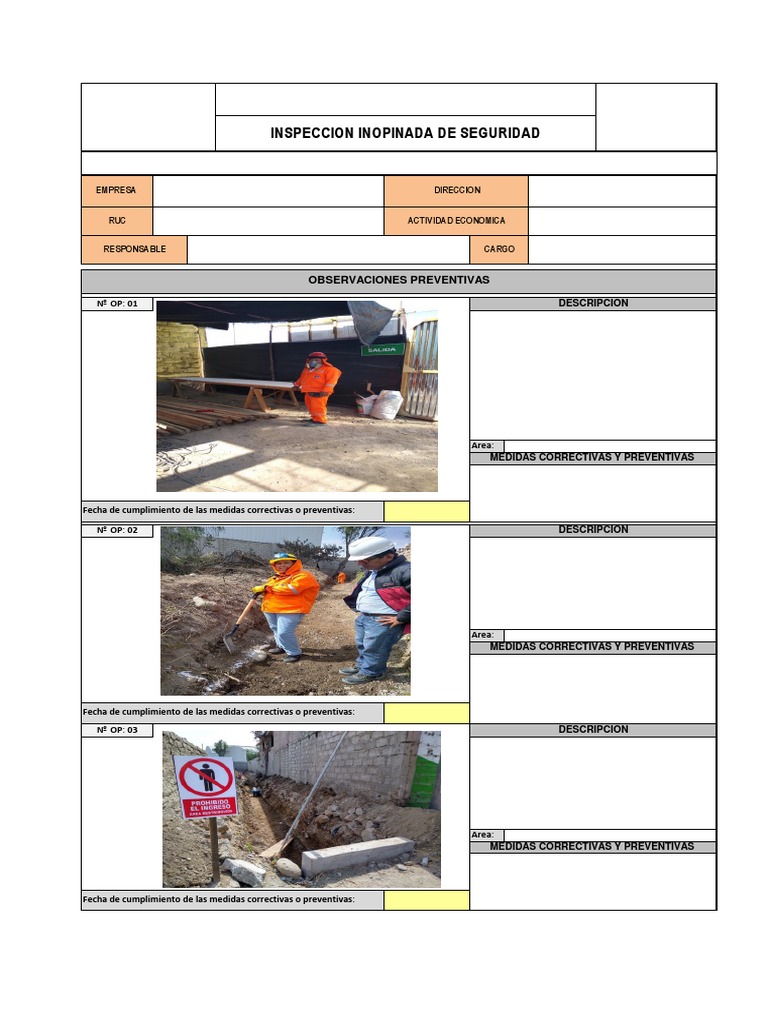 MODULO V Formato Inspeccion Inopinada PDF | PDF