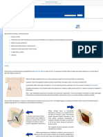 Apendicectomia.pdf