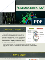 Sistema Linfatico PDF