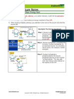 Glycolysis Handout Input