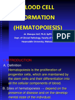 Bone Marrow Hematopoiesis: Formation of Blood Cells