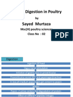 Protein Digestion in Poultry