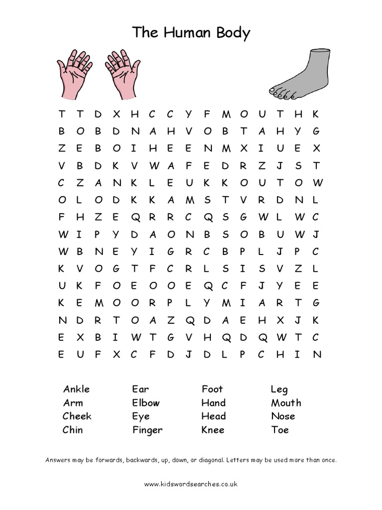 Human Body Parts | PDF
