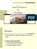 Animal Nutrition