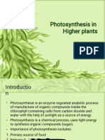 Photosynthesisinhgherplants 150106092547 Conversion Gate01
