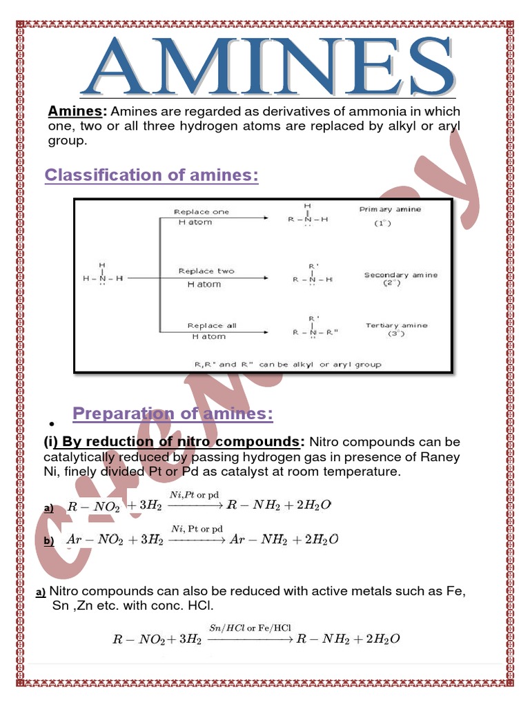 Class 12 Project on Amines | PDF | Amine | Chemical Reactions