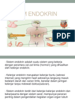 ppt sistem endokrin.pptx