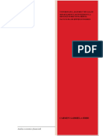 aef_id_format+nou.pdf