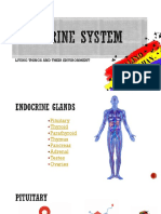 5.1 Endocrine System