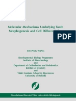 Molecular Mechanisms underlying Tooth Morphogenesis