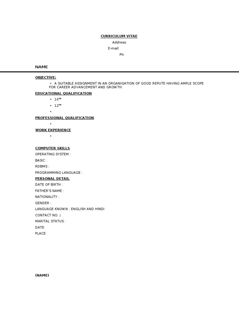 CV Format for Professional Use | PDF
