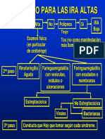 Algoritmo para El Manejo de Las IRAs PDF