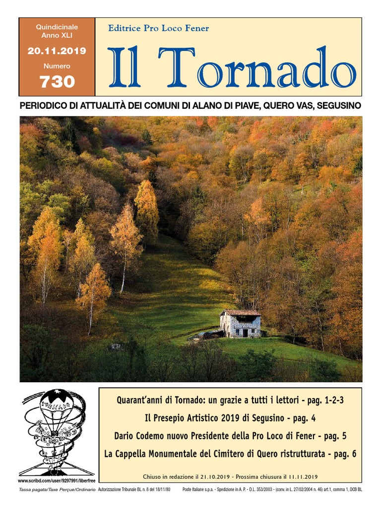 Crolla una replica della Statua della Libertà in Brasile, image size:768x1024