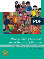 07-Callirgos-Percepciones y Discursos PDF