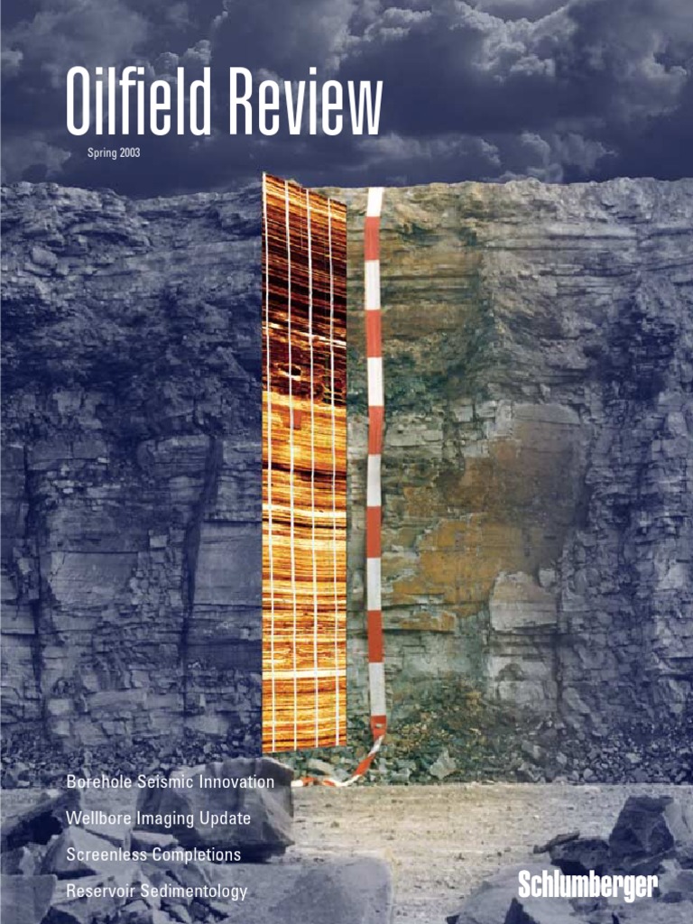 VSP Composite PDF | PDF | Reflection Seismology | Petroleum Reservoir