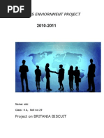 Download Britania 110 by Rup Mahadik SN44172156 doc pdf