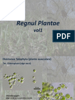 Plante 1.pdf