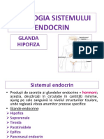 Fiziologia Sistemului Endocrin 1