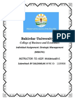 Bahirdar University2
