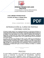 1 Peritaje Contable Judicial PDF