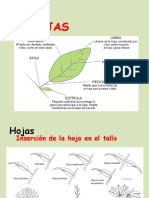 Hoja para Estudiantes