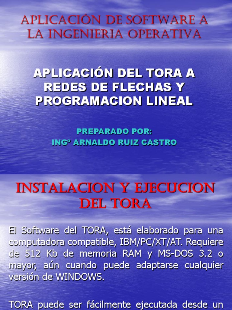 Tora: Programación Lineal y Redes | PDF | Monitor de computadora ...