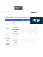 Planificacion_2019 REPORT-DICIEM