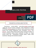 Katabolisme Protein Atma