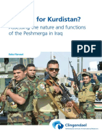 Fighting For Kurdistan