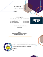 Laporan Praktikum Digitasi Kelompok 10 PDF