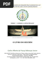 Carlos Junior Seichim Reiki PDF