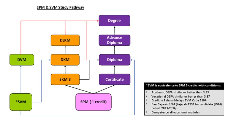 SPM & SVM Study Pathway Guide | PDF