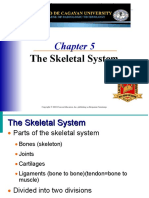 Anatomy Unit 5 The Skeletal System97