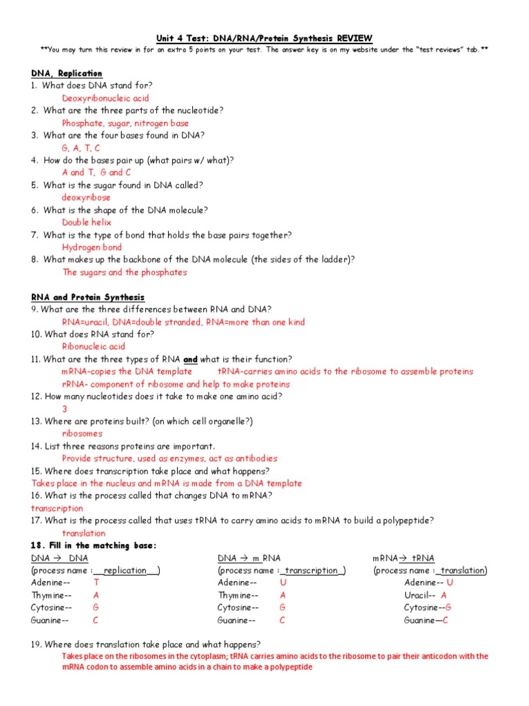 Dna Rna And Protein Synthesis Review Worksheet Unit 4 Test DNA RNA