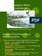 Interactions Within Ecosystems.ppt