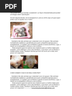 Download Cuidados Com Hamsters by thegreatmanns SN44177090 doc pdf
