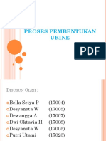 Proses Pembentukan Urine