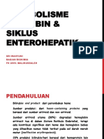 METABOLISME BILIRUBIN.pptx