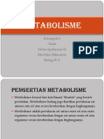 Metabolisme 