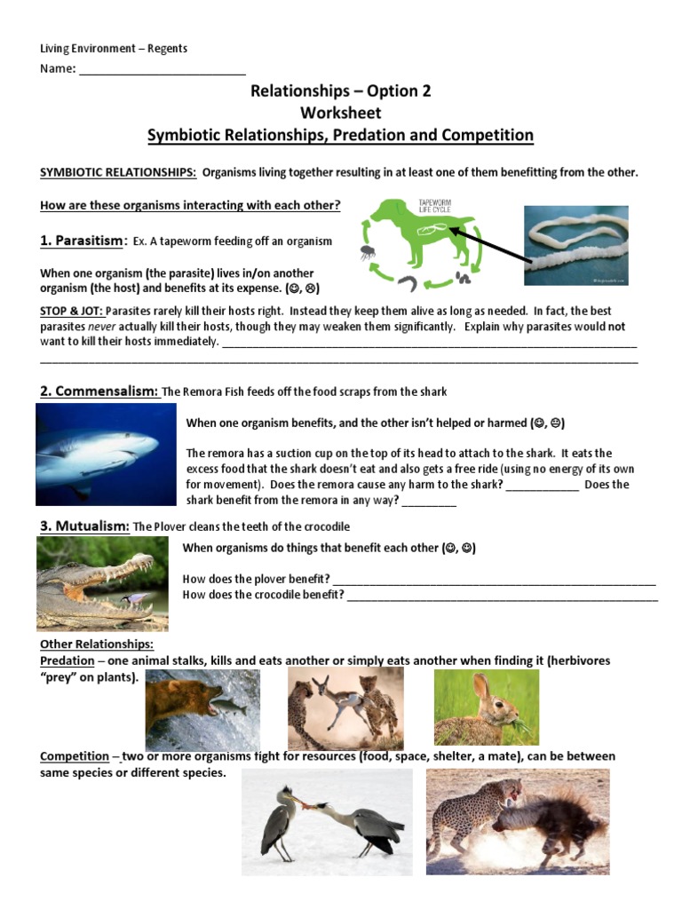 Symbiotic Relationships Predation And Competition Packet Pdf Symbiosis Parasitism