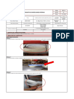 Registro de Inspección Interna PDF