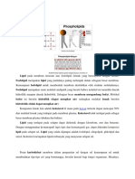 Lipid