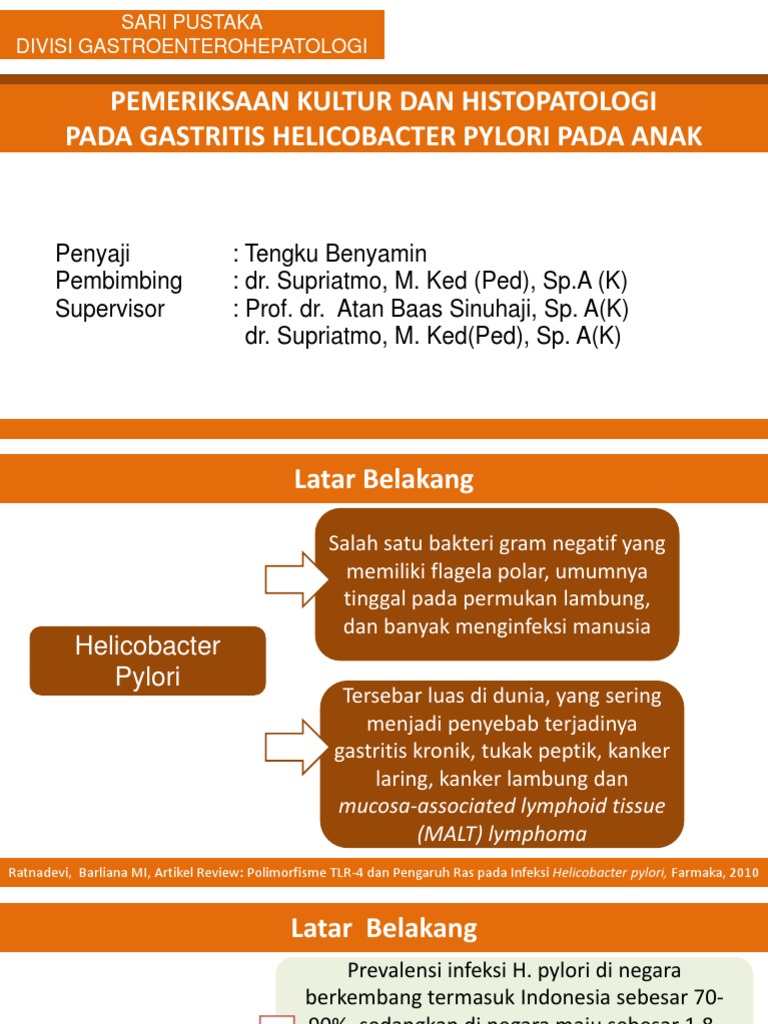 Sari Pustaka H. Pylori | PDF