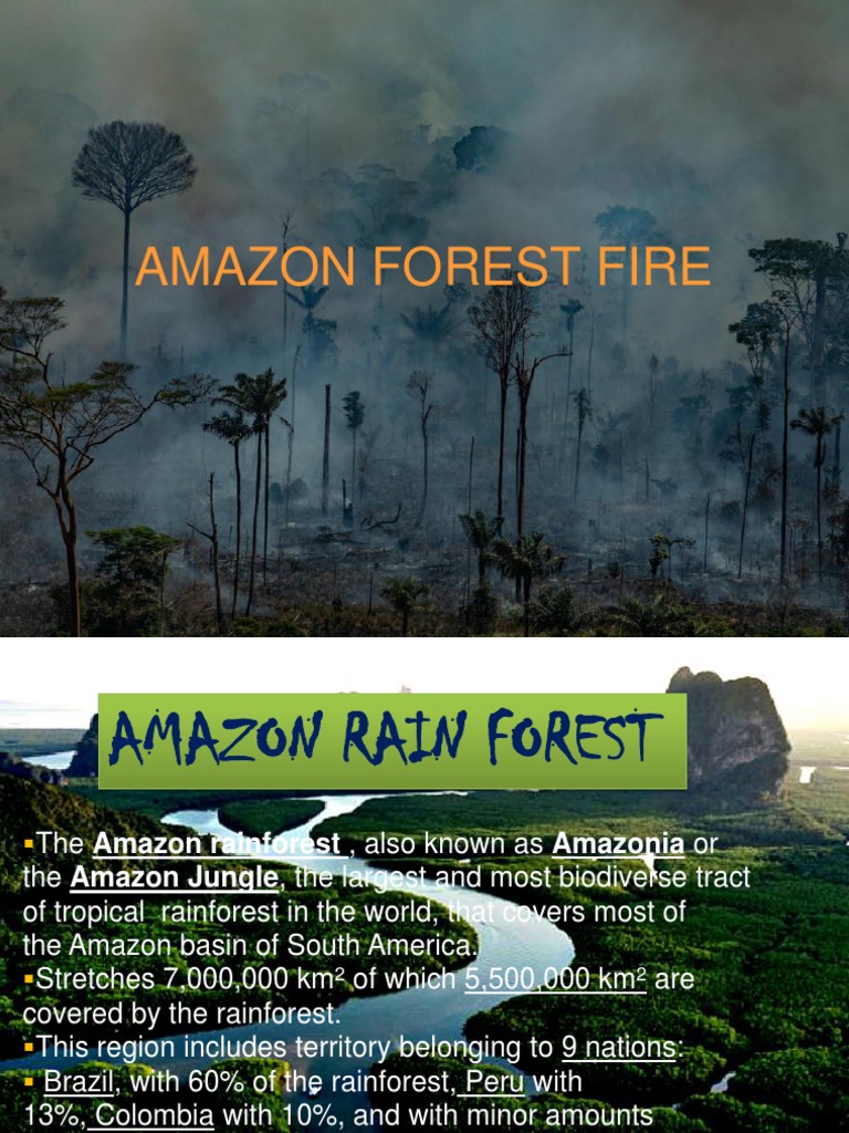 case study on amazon forest fire pdf