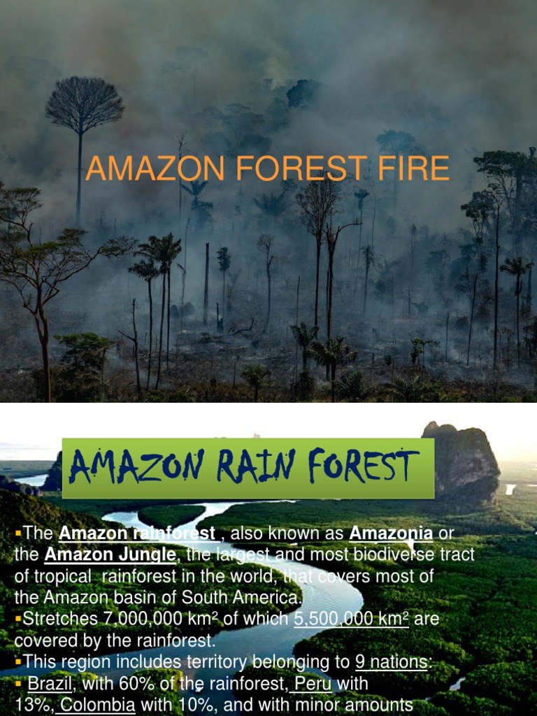 amazon-forest-fire-ppt-final-pdf
