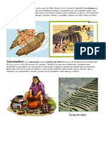 Pueblos Originarios