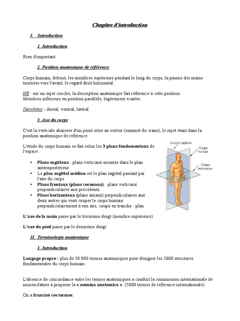 Anatomie et Position de Référence | PDF | Articulation (anatomie ...