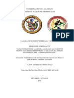 Tesis 68 Medicina Veterinaria y Zootecnia -CD 436.pdf