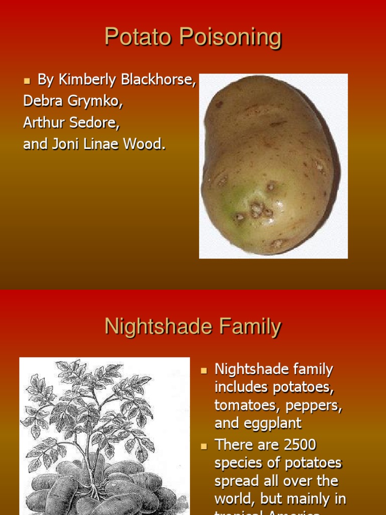 The Dangers of Potato Poisoning An InDepth Look at Solanine Toxicity